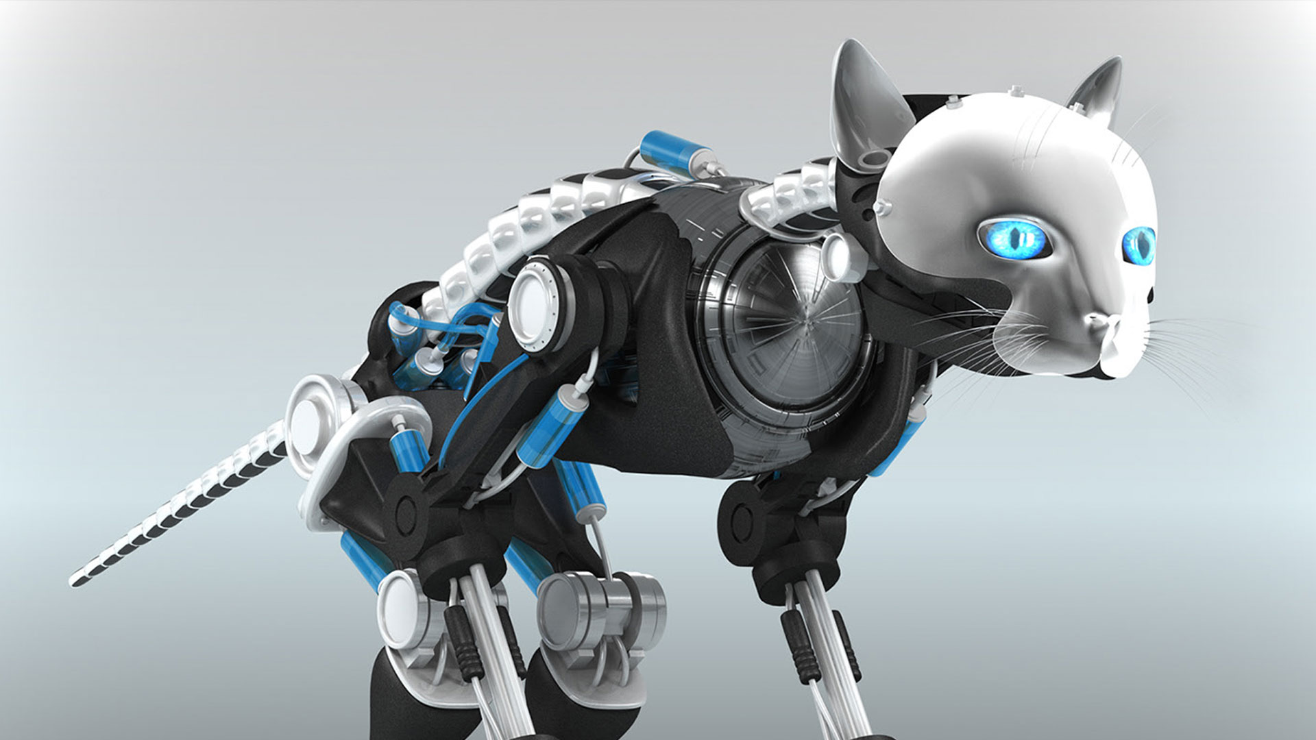 Игры робот кошка. Которобот NECORO. Робокот Робокот. Робот собака Aibo. Робот котик.